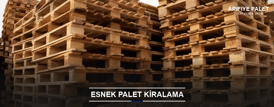 Arifiye Uygun Fiyatlı Palet Kiralama Arifiye Uygun Fiyatlı Palet Kiralama